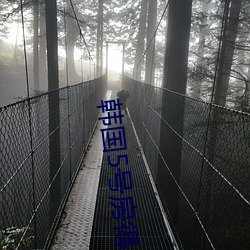 韓國5號房得兒