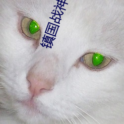 鎮國戰神小說