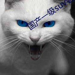 国产(chǎn)一级(jí)suv老妇女(nǚ)