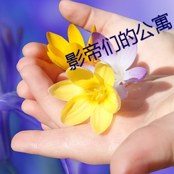 影帝们的公寓 （万紫千红）