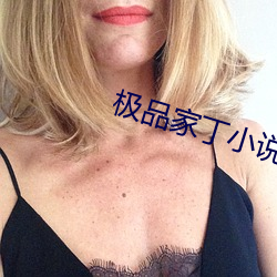 极品家丁小说