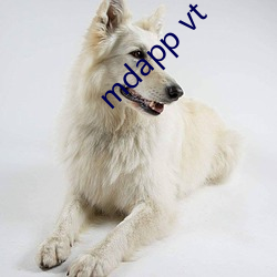 mdapp vt （同日而论）