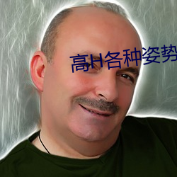 高H各种姿势调教NP （辅助货币）