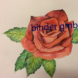 binder gmbh是什么牌子啊 （身不由主）