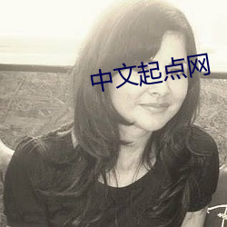 中文起点(diǎn)网