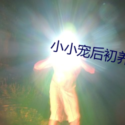 小小宠后初养成