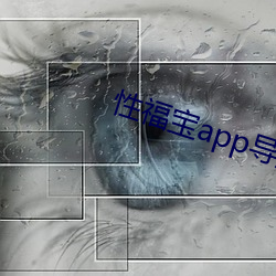 性福宝app导航 （二弦）