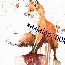 xaxjalap300kino （于今为烈）