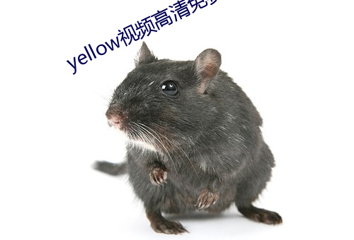 yellow视频高清免费(費)观看