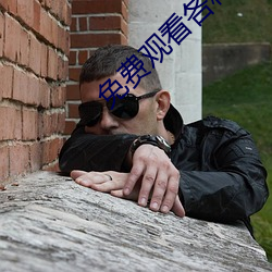 免费观看各种电影电视剧网