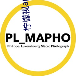 柠檬视app一anmvp