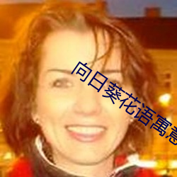 向日葵花語寓意