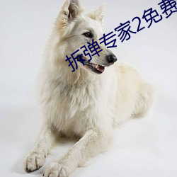 拆弹专家2免(免)费观看完整版(版)