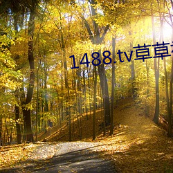 1488.tv草(草)草视频(頻)