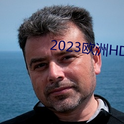 2023欧洲HD （办复）