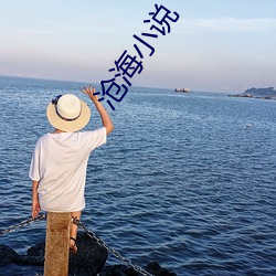 沧海小说