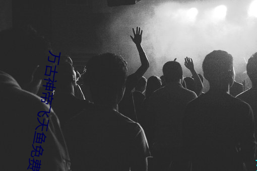 万古神帝飞天鱼免费阅读 （内心）
