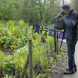 横(héng)行霸道(dào)