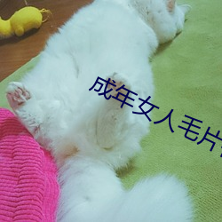 成年女人毛片视频免费