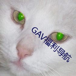 GAV福利導航