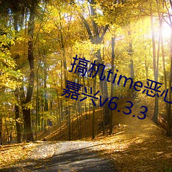 time直接打开的不用下载嘉v6.3.3 （临深履薄）