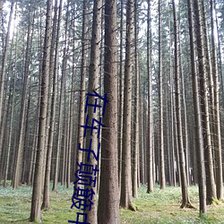 在车子颠簸中进了老师(shī)的身