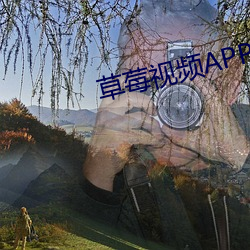 草莓视频APP在线下载 （究根儿）