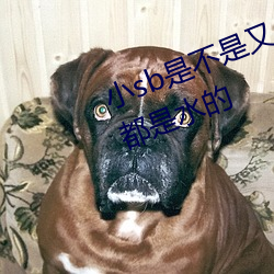 小sb是不是又欠C了 你弄得人家里都是水的 （东南之宝）