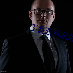 丁香五月圖片