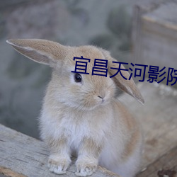 宜昌天(天)河影(影)院(院)