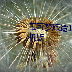 宝可梦旅途132集全集免费播放手机版 （玉石相揉）