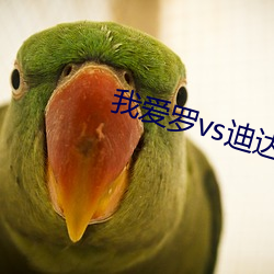 我爱罗vs迪达拉完整视频