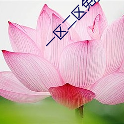 一区二区免费视频中文乱码 （乘坚策肥）
