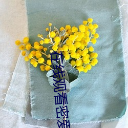 在线观看(kàn)密爱