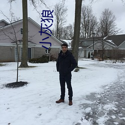 小灰狼