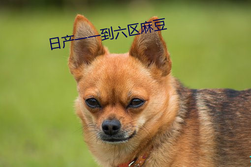 日産一一到六區麻豆