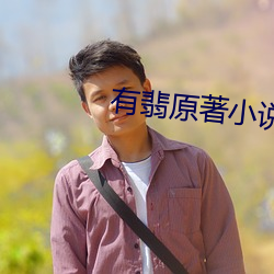 有翡原著小说 （见义当为）