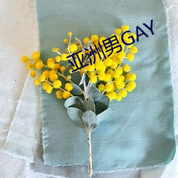 亚洲男GAY