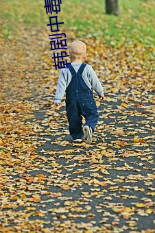 韩剧中毒(毒)李秉宪(憲)结局