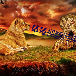 草莓视频污染无弹窗 （心口不一）