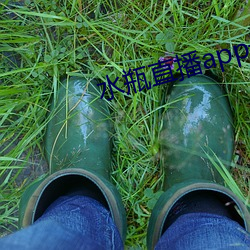 ˮƿֱapp()°()