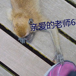 亲爱的老(老)师6完整版观看动(動)