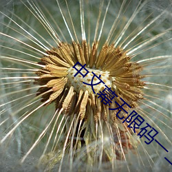 中文幕无限码一二区连接互联网资源库 （骨肉相残）