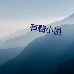 有翡小(小)说