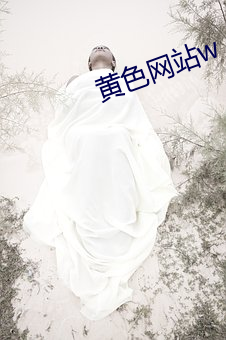 黄色网站w