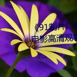 《91制片(片)厂制(制)作传媒果冻(凍)》免费电(電)影高清观看