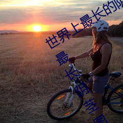 世界上最長的陰莖:戰鬥狀態下60厘米(最長陰莖圖片)