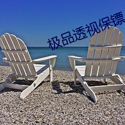 极品透视保镖
