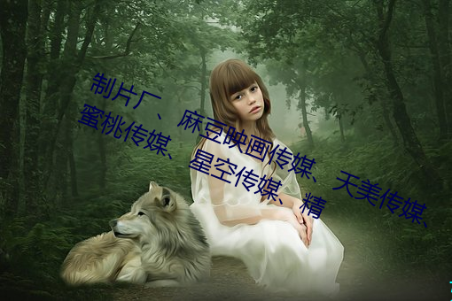 制片厂、麻豆映画传媒、天美传媒、蜜桃传媒、星空传媒、精