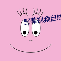 野草视频自线观看二四区